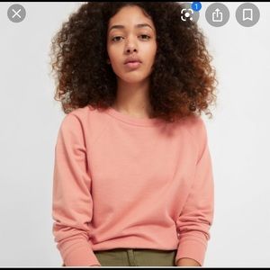 Everlane light weight French terry sweater
